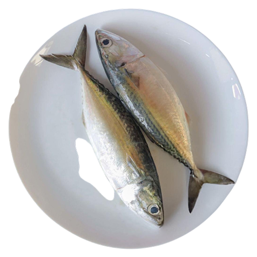Dry Fish