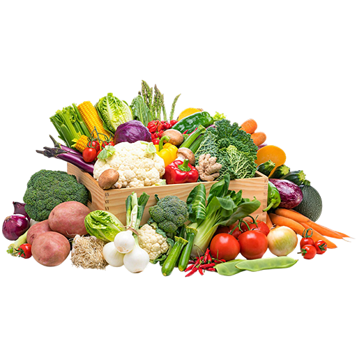 Fresh Products